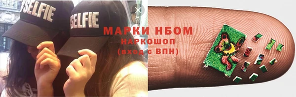 PSILOCYBIN Волосово