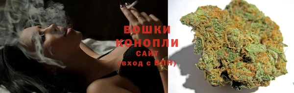 PSILOCYBIN Волосово
