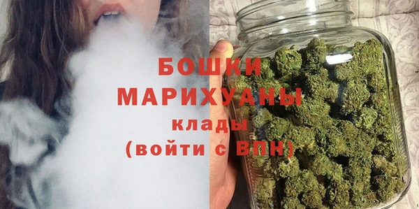 PSILOCYBIN Волосово