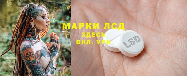 PSILOCYBIN Волосово
