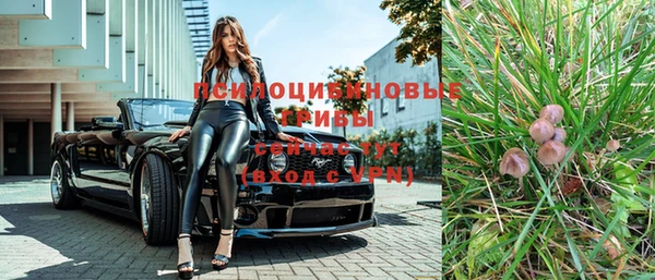 PSILOCYBIN Волосово