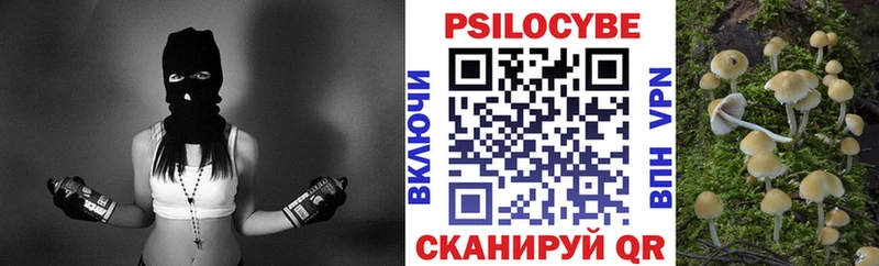 Псилоцибиновые грибы ЛСД  Купить где  Узловая 